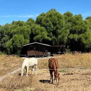 glamping-in.es-andalucia.com/